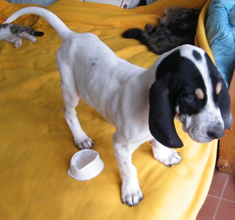 Fannie de l'echo des cigales
